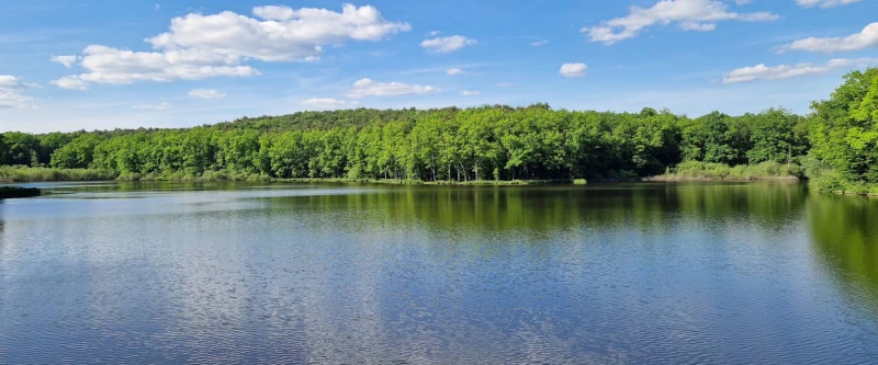 Bukovniško jezero
